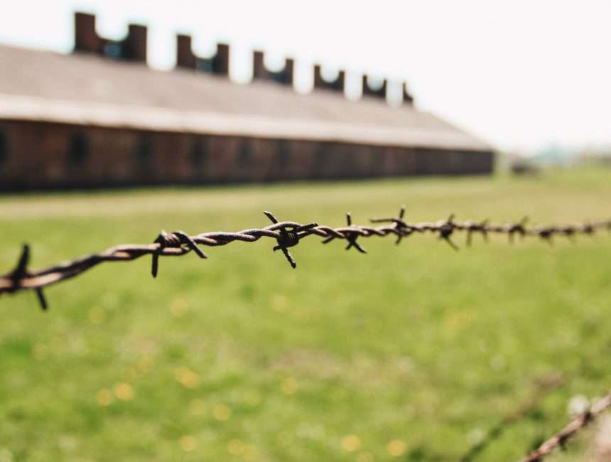 georganiseerde reis auschwitz