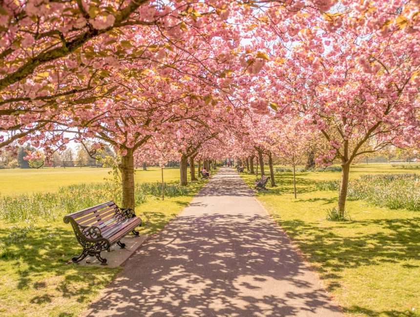 Hyde Park Londen