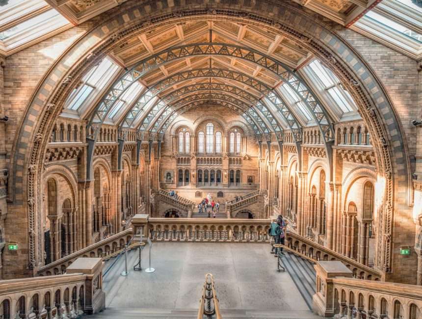 National History Museum Londen hoogtepunten